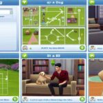 Comment adopter un chien dans les Sims