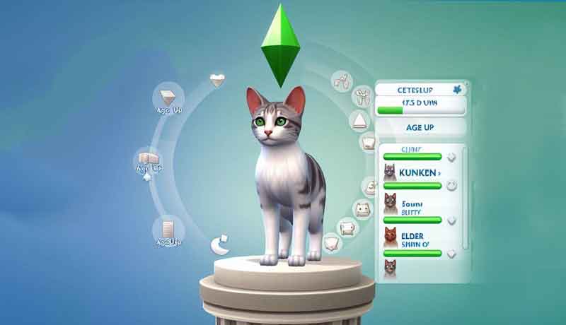 Comment faire vieillir un chat Sims 4