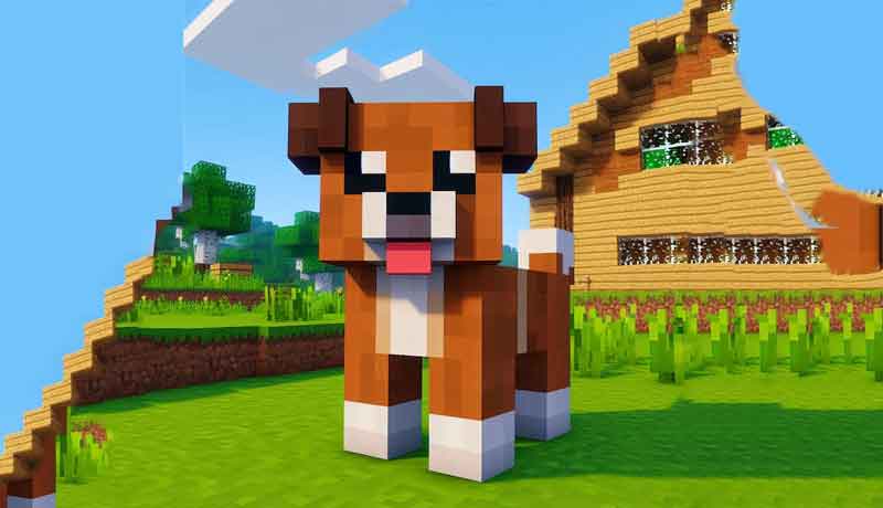 Comment avoir un chien sur minecraft